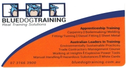 Blue Dog Training